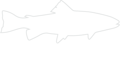 Northern Rivers Fly Fishing